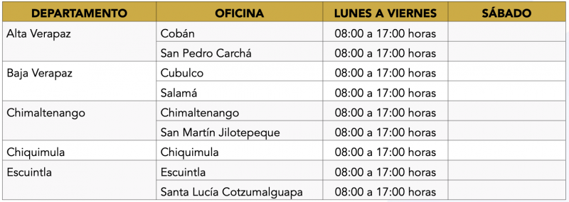 protocolo de atención en alta demanda RENAP