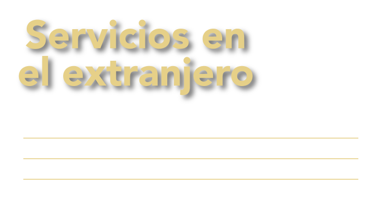 texto-banner-servicios-en-extranjero.png